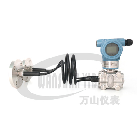 Double flange liquid level transmitter